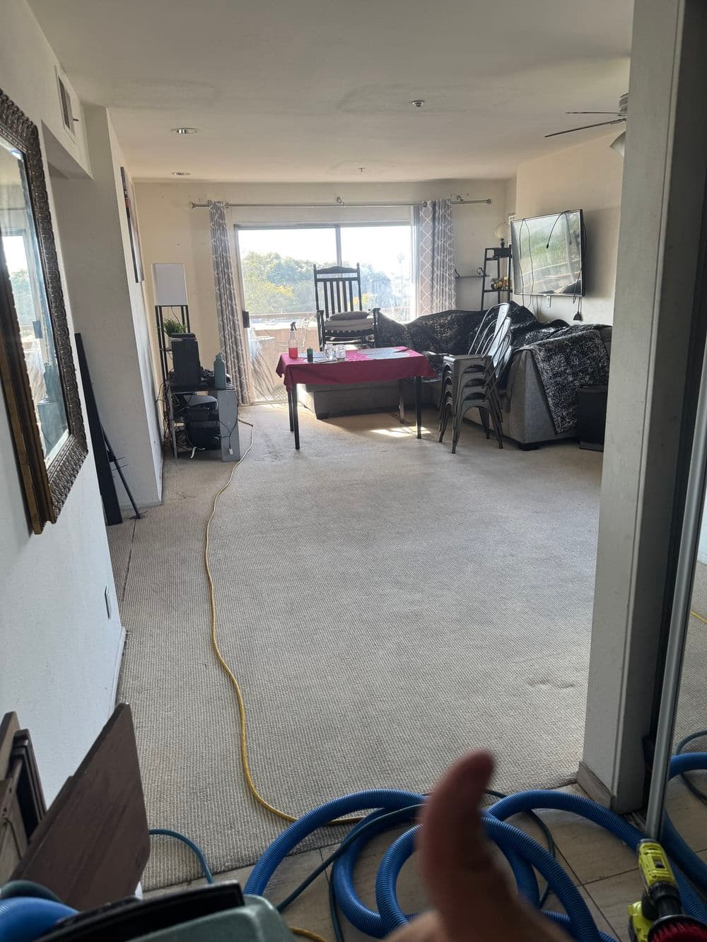 About Douglas Carpet & Upholstery Cleaning